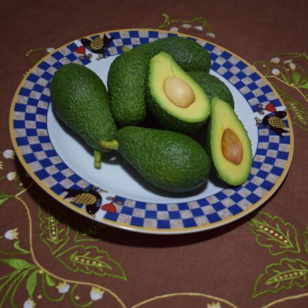 Avocado Hass