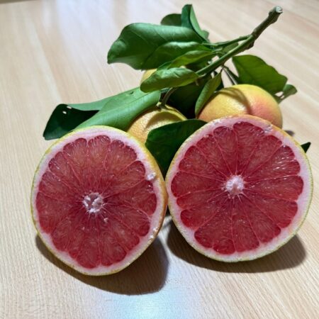Pompelmo rosa